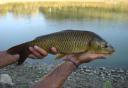 Pesca al lago il Colle.jpg